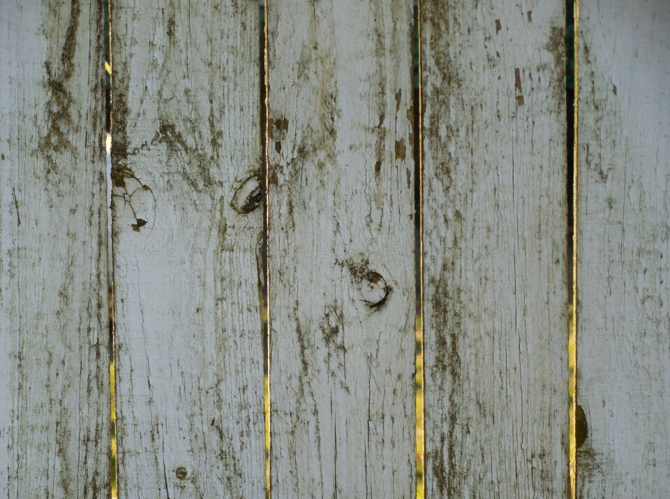 Rustic fence home