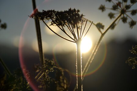 First sunset dusk