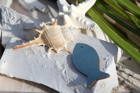 Sea coast beach