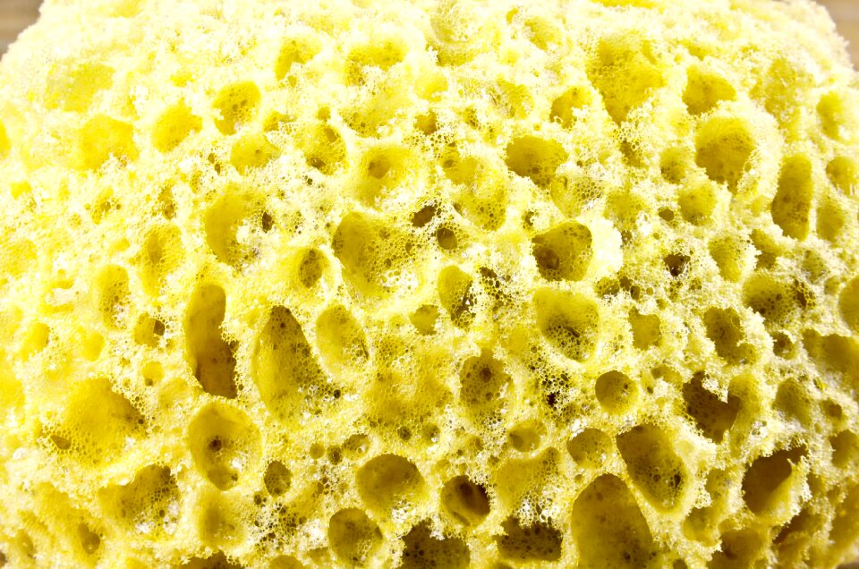 Cleaning washing bathroom
