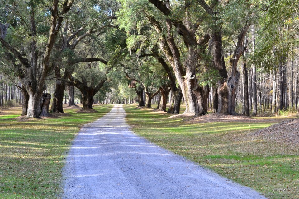 Historic southern south