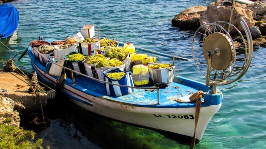 Traditional summer cyprus
