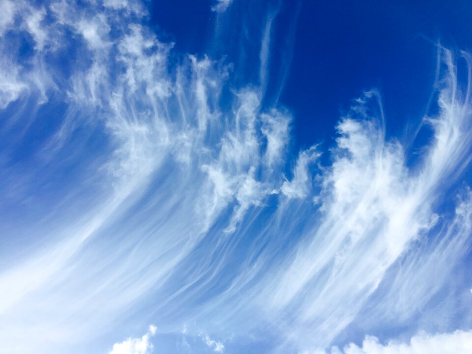 Background sky sunny