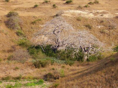 Angola luanda landscape