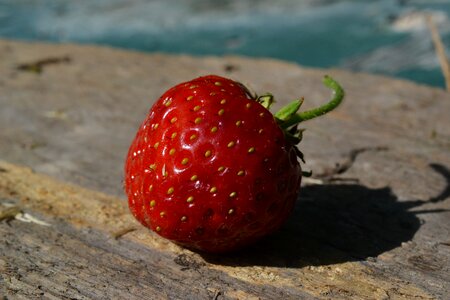 Ripe sweet red photo