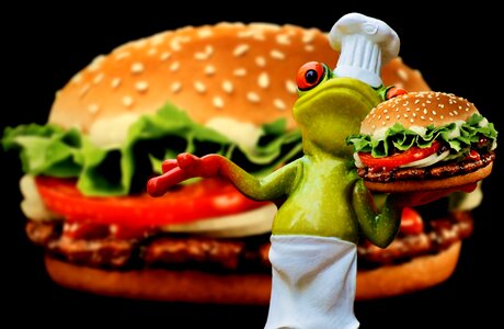 Frog funny food