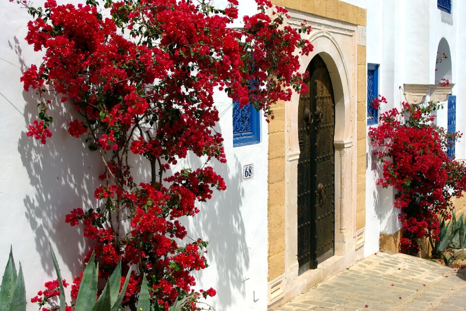 Portal tranquility seaside