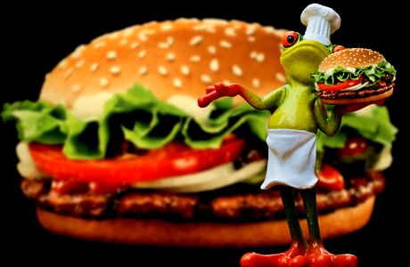Frog funny food