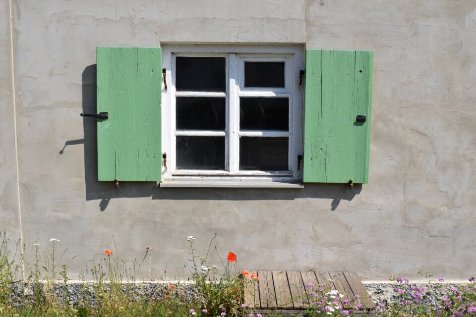 Building shutters green