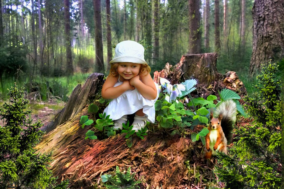 Wood forest squirrel