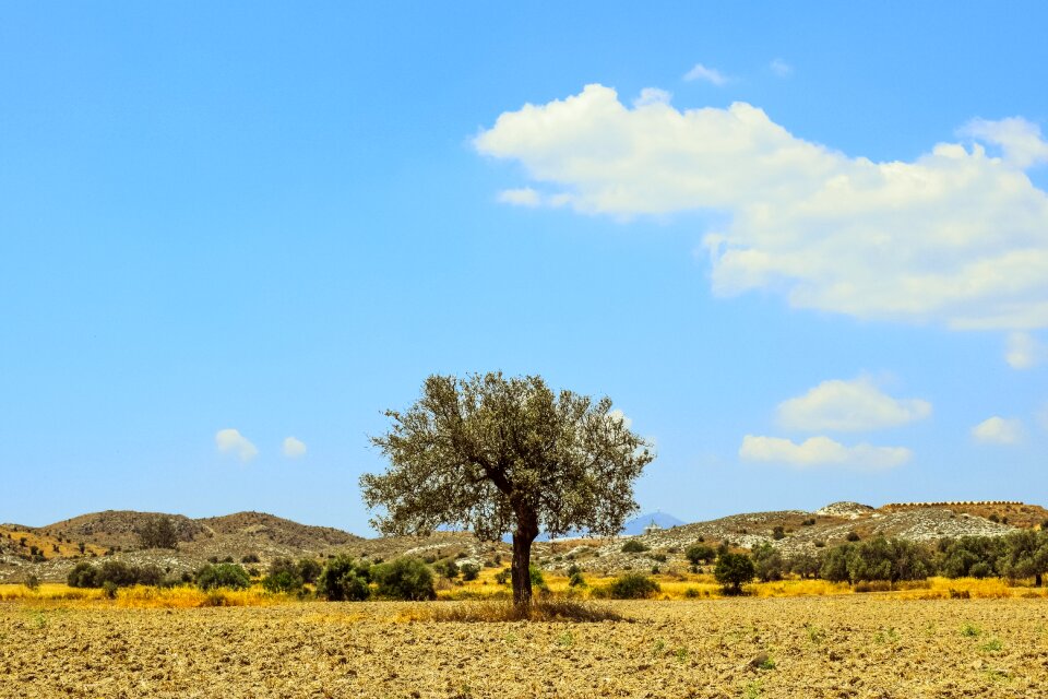 Landscape sky clouds