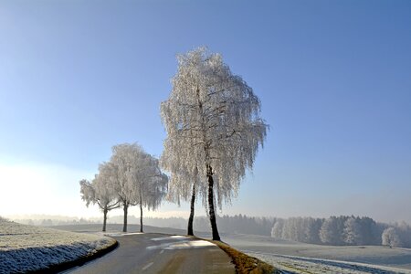 Morgentau ripe nature photo