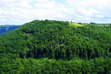 Swabian alb rand ecker maar beech wood photo