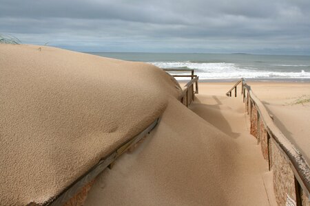 Sea beach nature