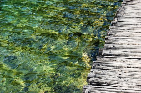 Wooden bridge water nature