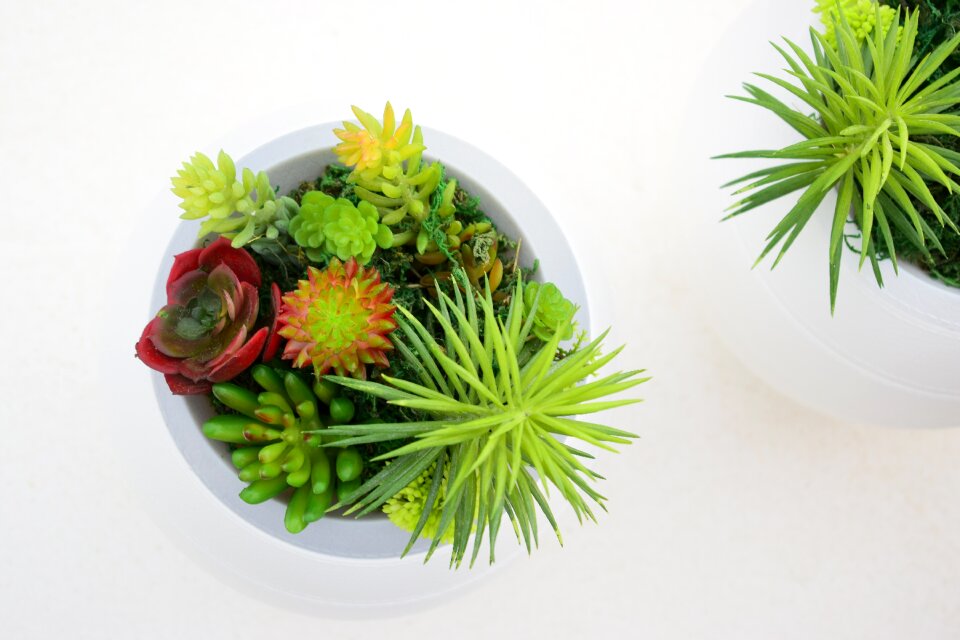 Funeral urns design style