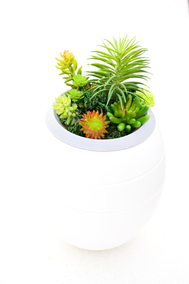Ecology design funeral