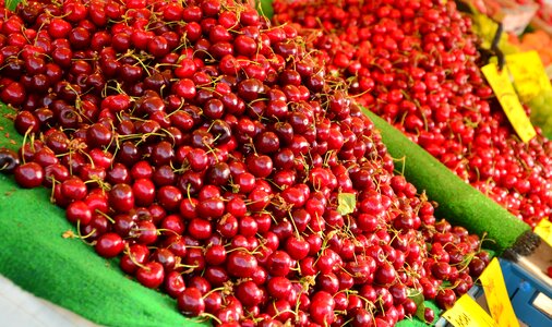 Fruit stand farmers local market red photo