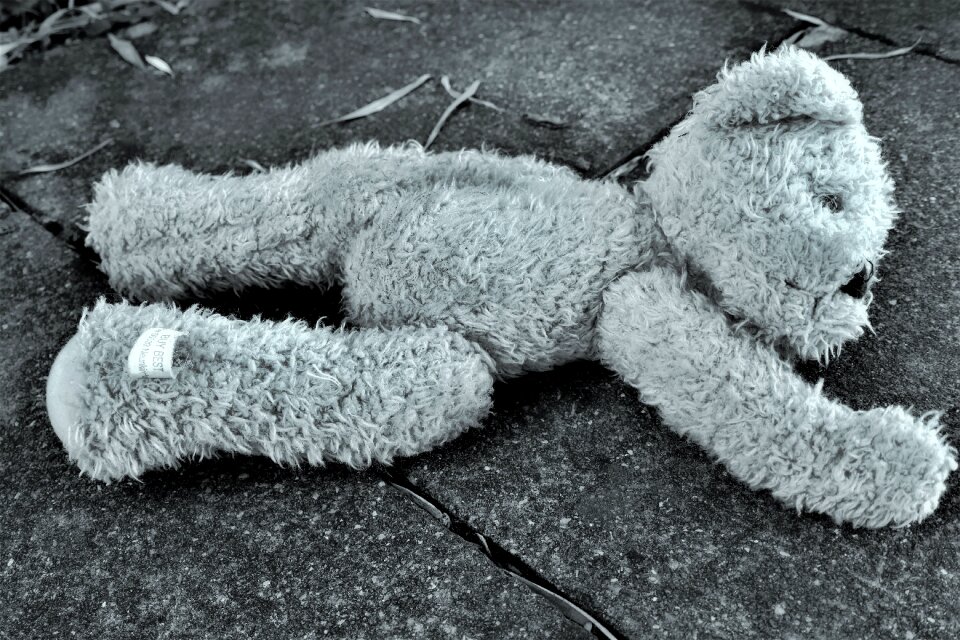 Toys stuffed animal soft toy