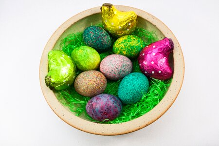 Colored hen colorful