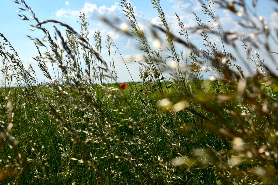 Landscape mirroring out of focus