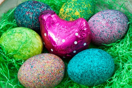 Colored hen colorful