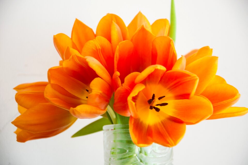 Colors orange yellow