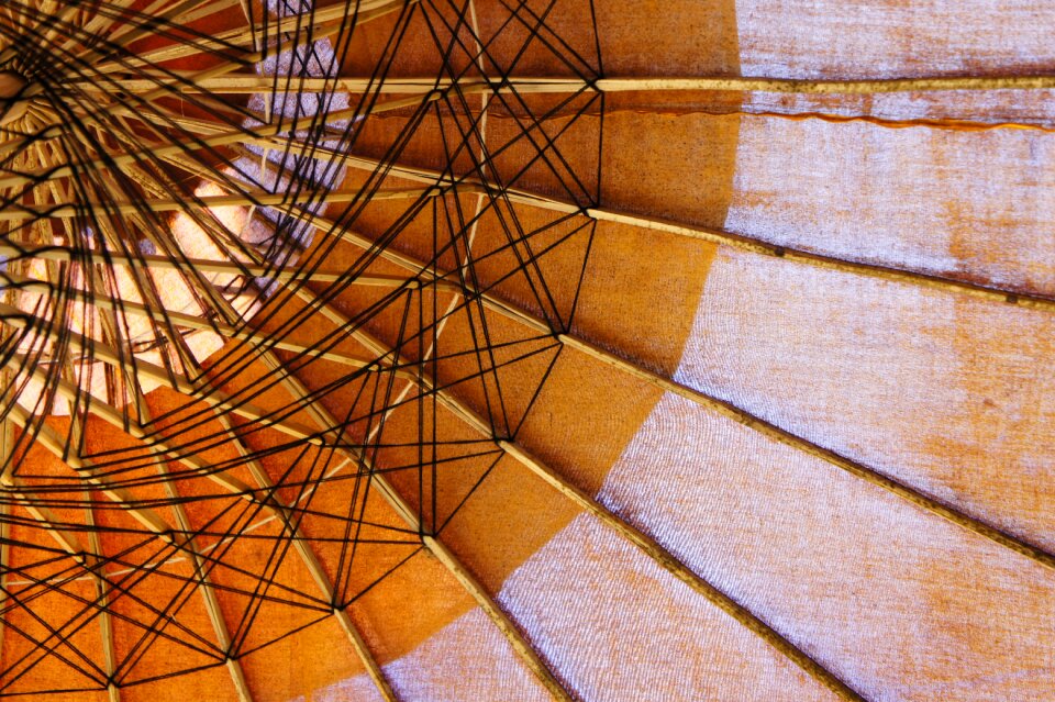 Shade tree asian umbrella asia