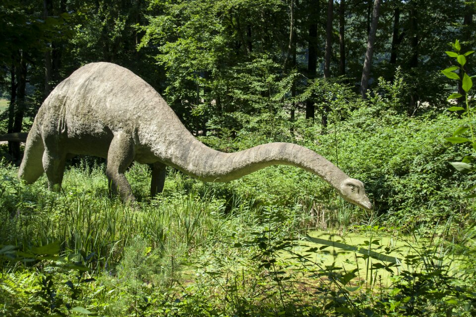 Dinosaur herbivores diplodocus