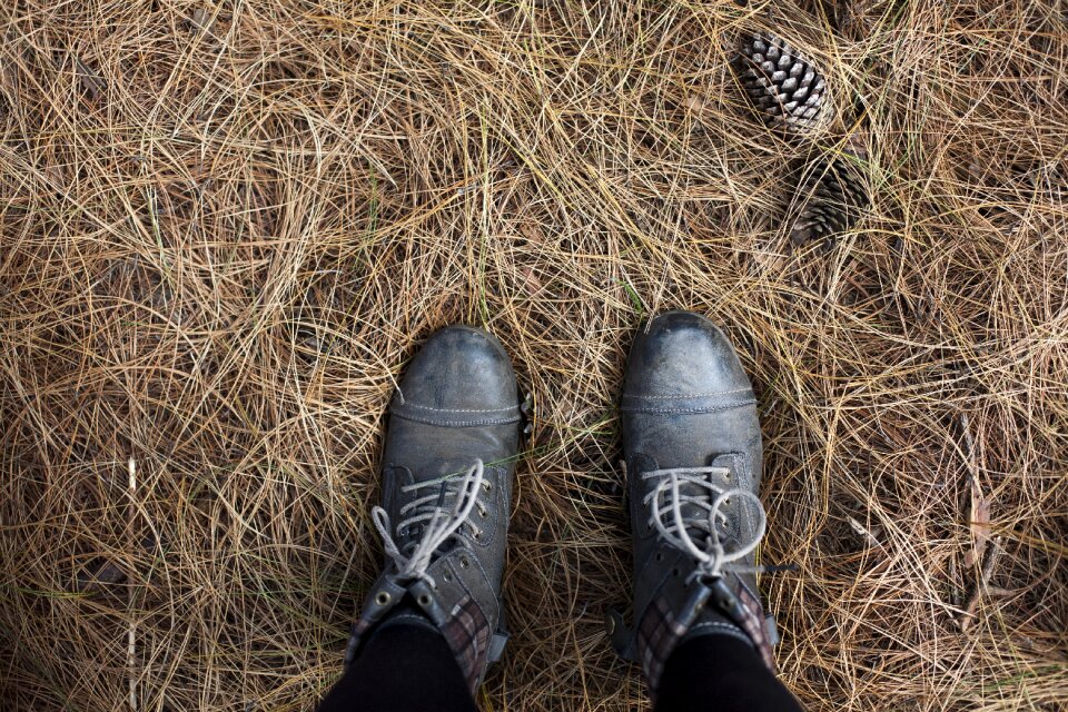 Color conifer cone footwear
