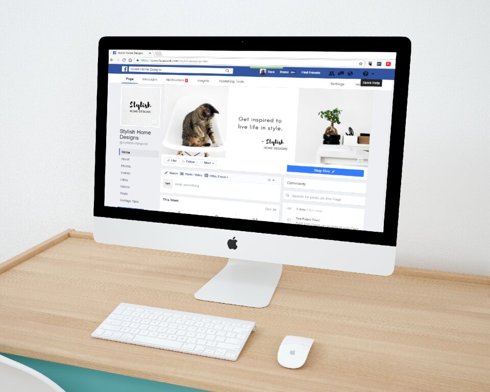 Small business business web