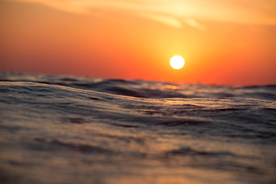Passion peace summer