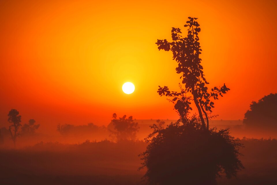 Silhouettes landscape scenic photo