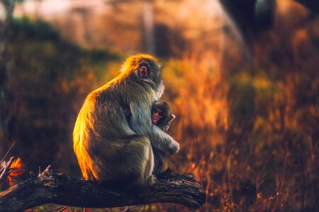 Child cute sitting