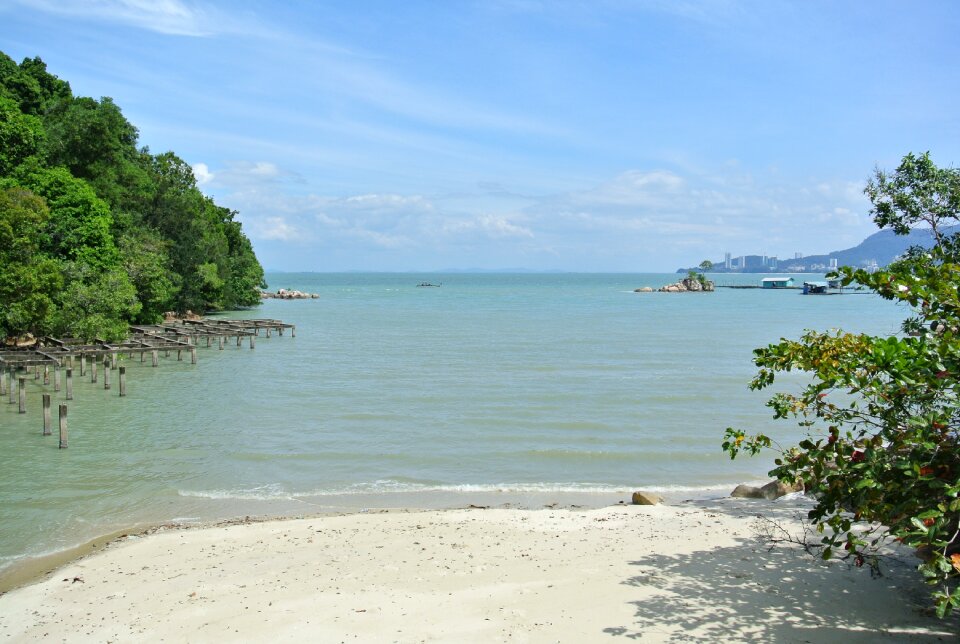 Tropical beach tropics