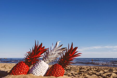 Pineapples sand sea
