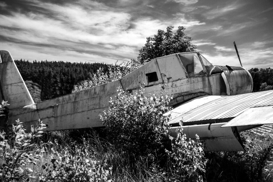 Old black and white defect
