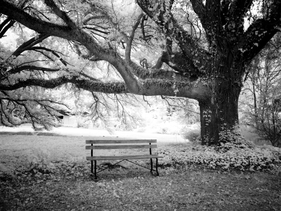 Meadow rest harmony