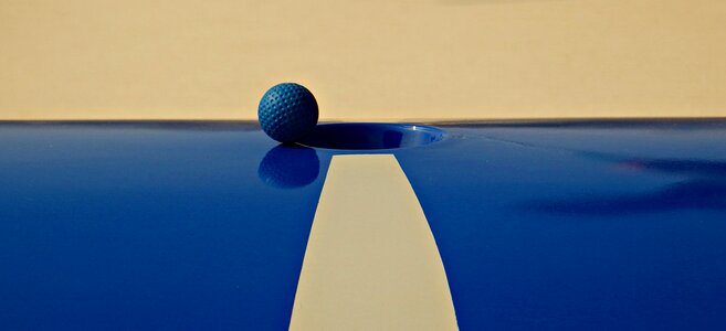 Mini golf ball ball minigolf plant