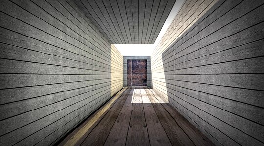Wood grain structure background photo