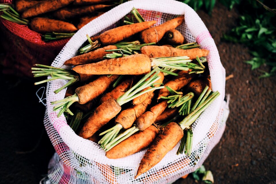 Food fresh vegetables