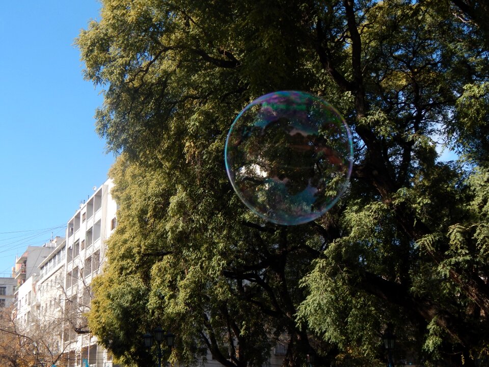 Soap bubble bubble colors photo