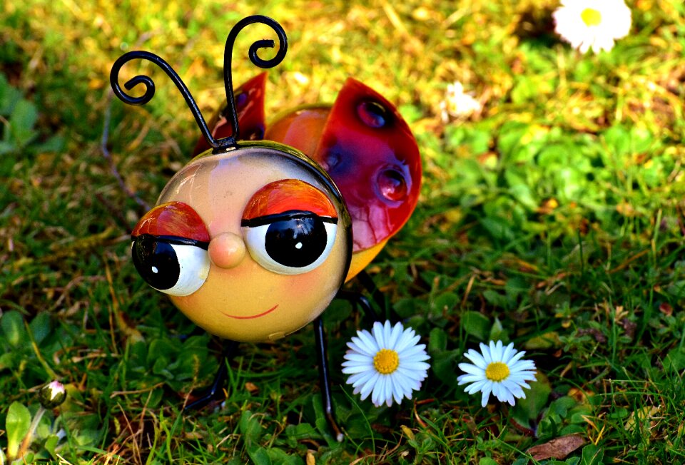 Lucky ladybug beetle metallic