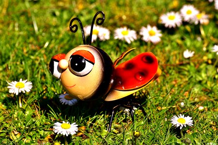 Lucky ladybug beetle metallic