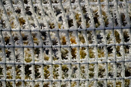 Iced crystals eiskristalle photo