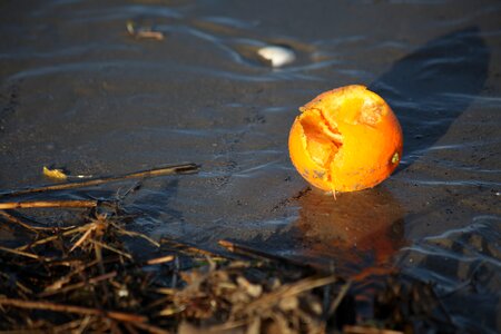 Flotsam orange evening light