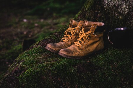 Shoes grass hiking