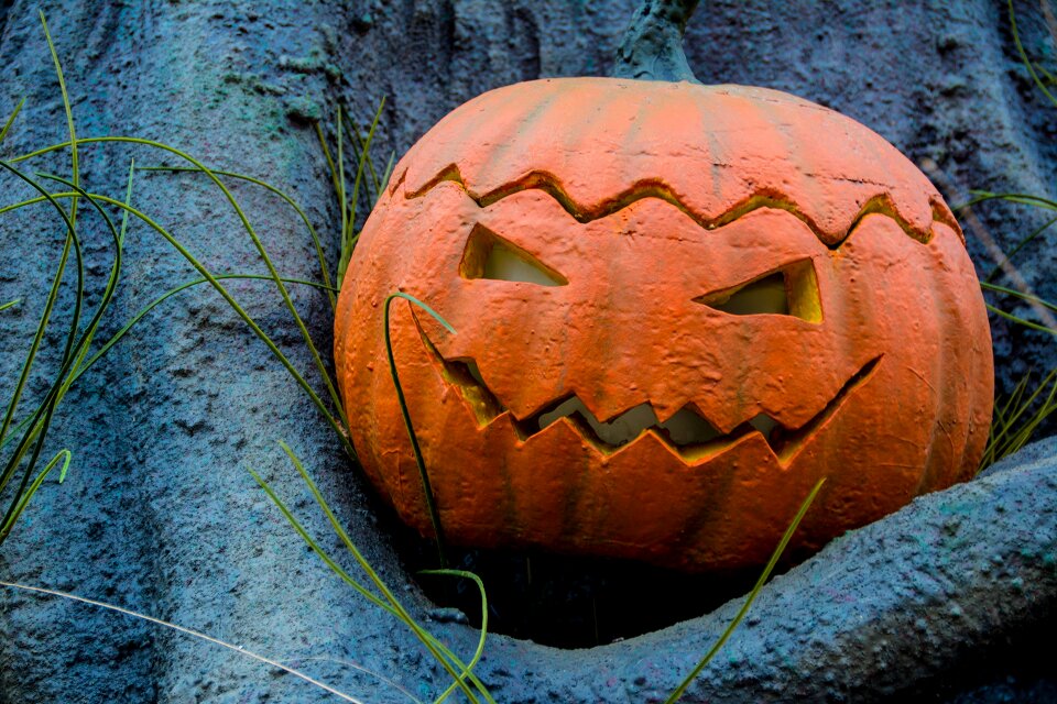 Halloween autumn pumpkin