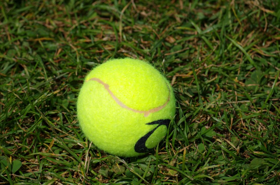 Tennis ball game tennis