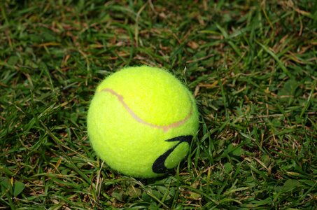 Tennis ball game tennis